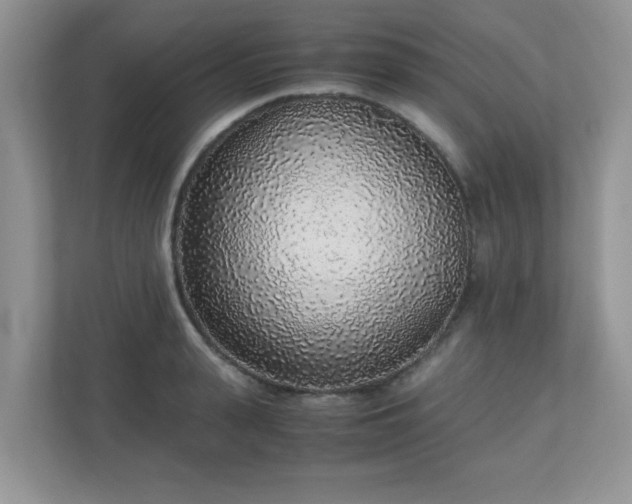 X0000110910943200906251355