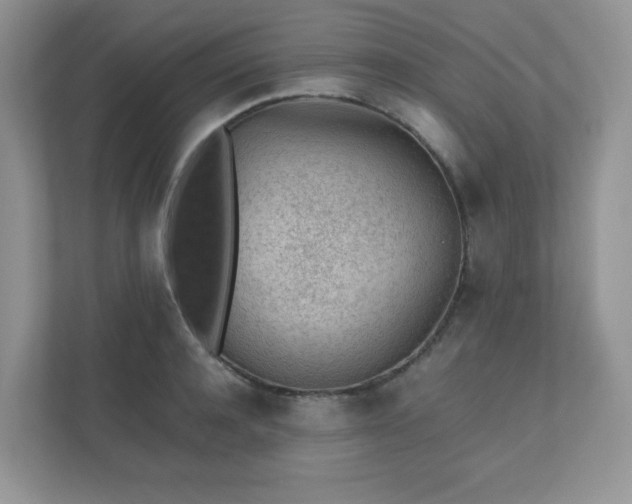 X0000110910944200906251355