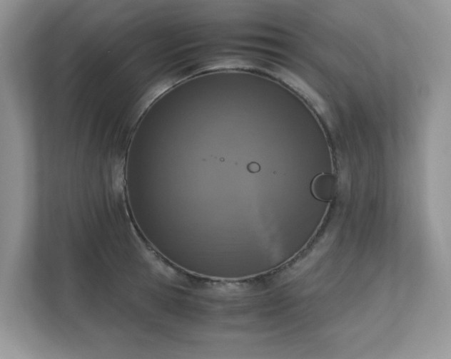 X0000110910945200906251355