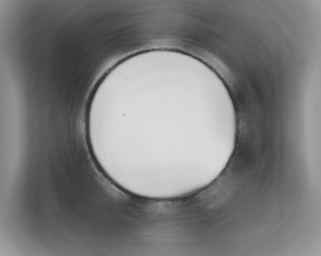 X0000110910950200906251355