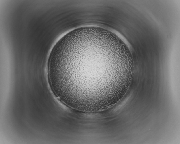 X0000110910951200906251355