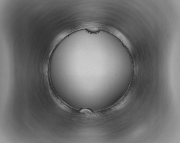 X0000110910954200906251355