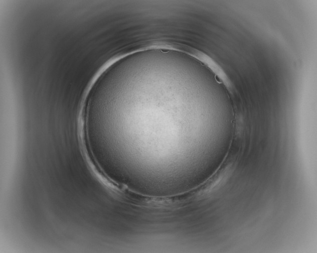 X0000110910955200906251355