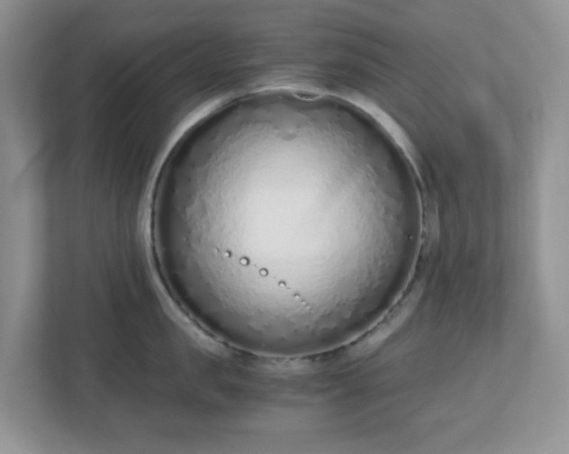 X0000110910957200906251355