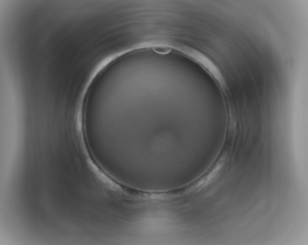 X0000110910958200906251355