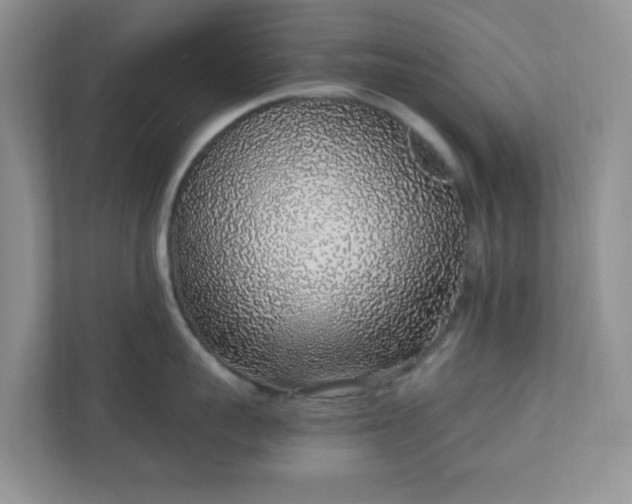 X0000110910959200906251355