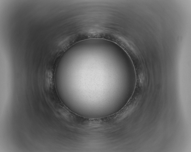 X0000110910964200906251354