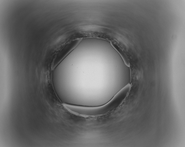 X0000110910965200906251354