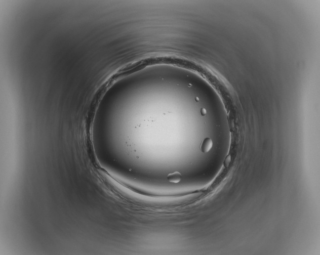 X0000110910969200906251354