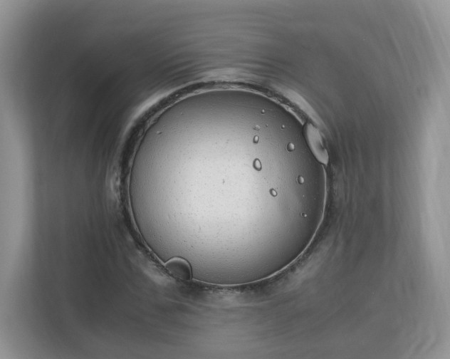 X0000110910971200906251354