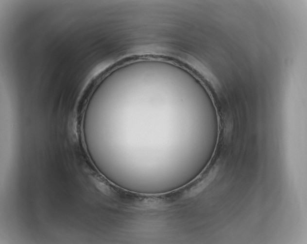 X0000110910974200906251354