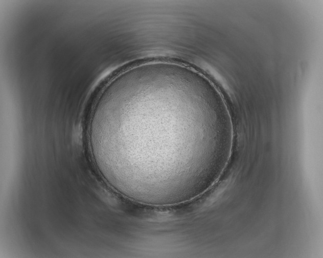 X0000110910975200906251354