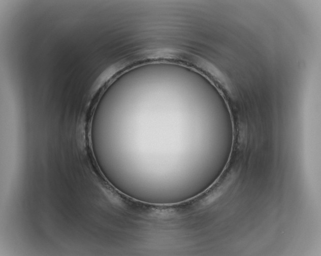 X0000110910978200906251354