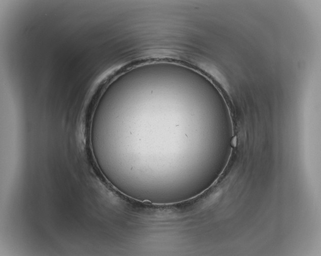 X0000110910979200906251354