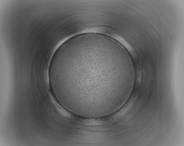 X0000110910980200906251354