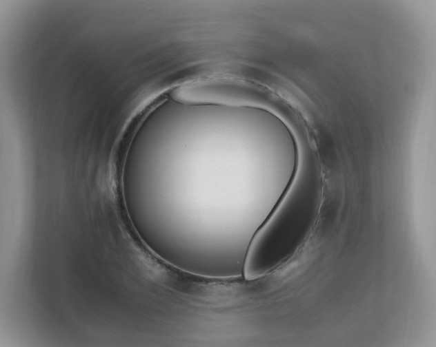 X0000110910981200906251354