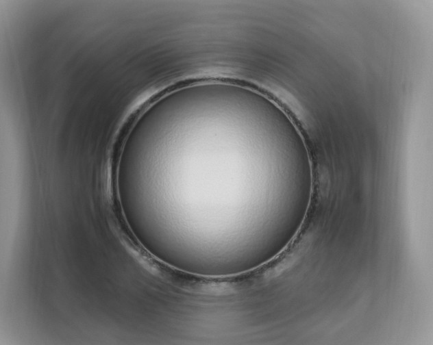 X0000110910982200906251354