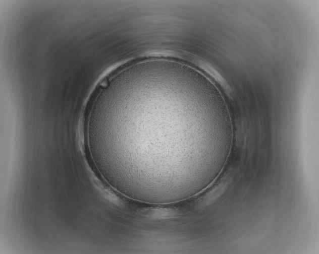 X0000110910984200906251354