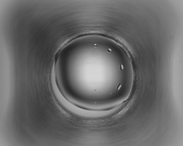 X0000110910985200906251354