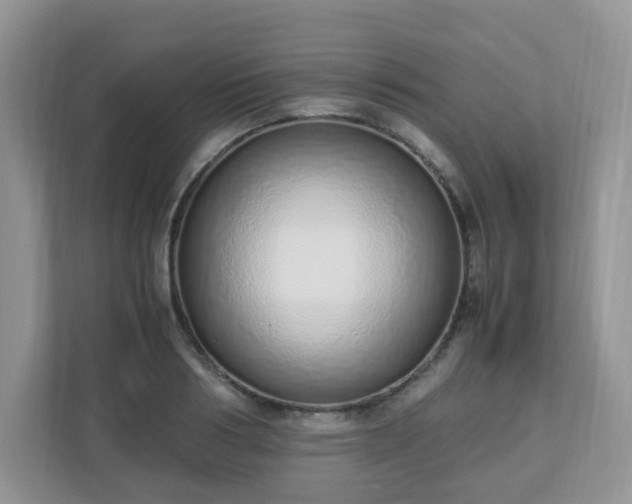 X0000110910986200906251354