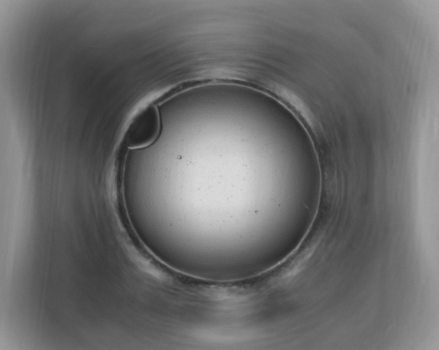 X0000110910987200906251354