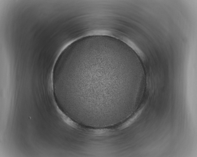 X0000110910988200906251354