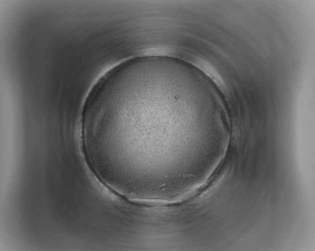 X0000110910992200906251354