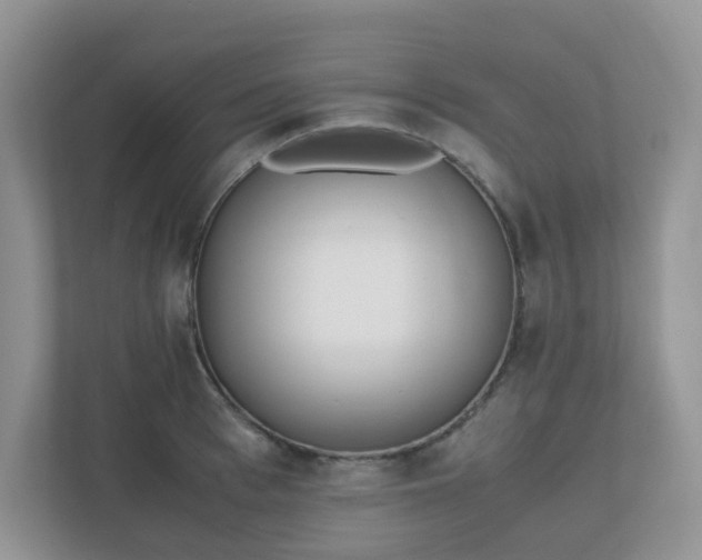 X0000110910993200906251354