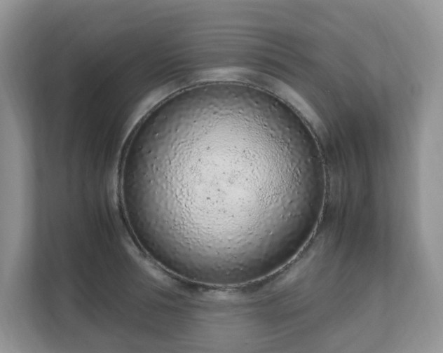 X0000110910994200906251354