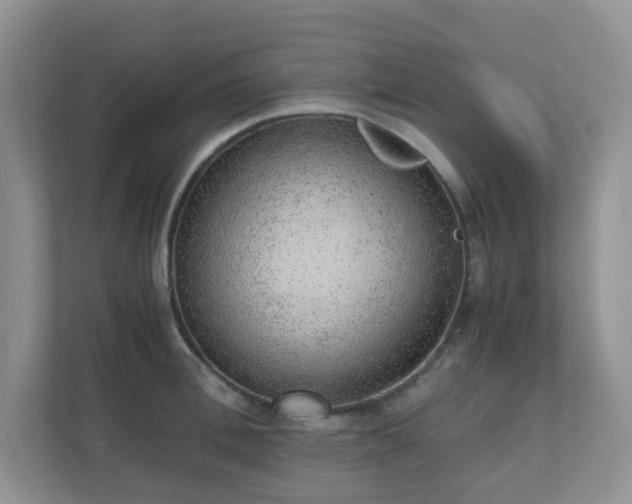 X0000110910996200906251354