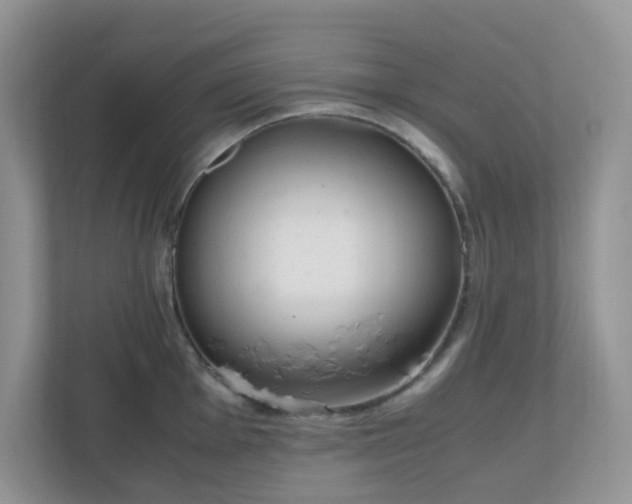 X0000110911001200906251354