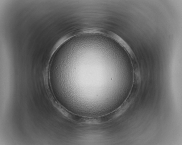 X0000110911002200906251354