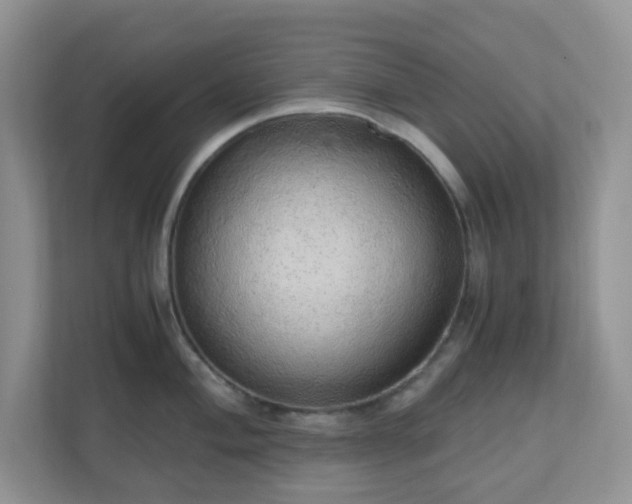 X0000110911004200906251354