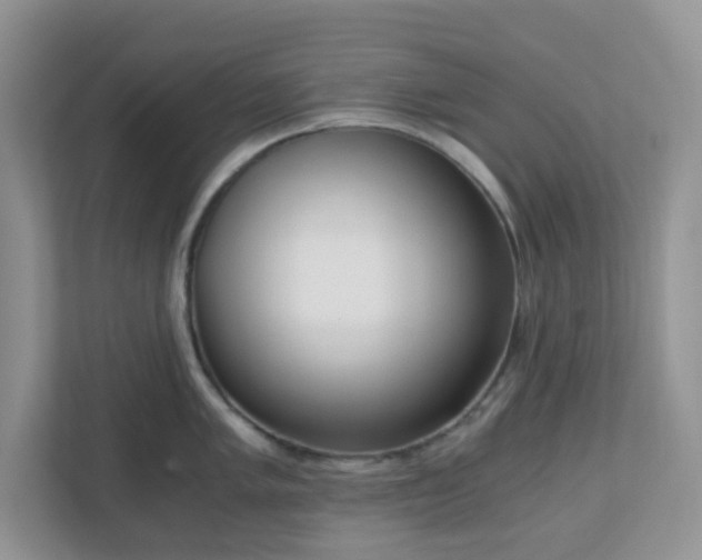 X0000110911005200906251354