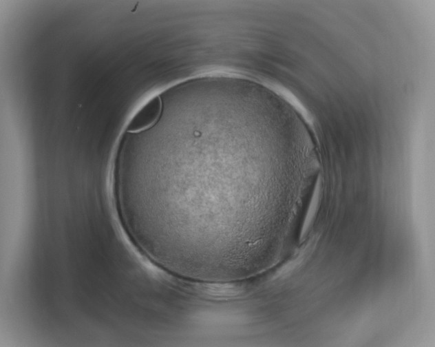 X0000110911007200906251354