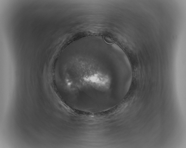 X0000110911009200906251353