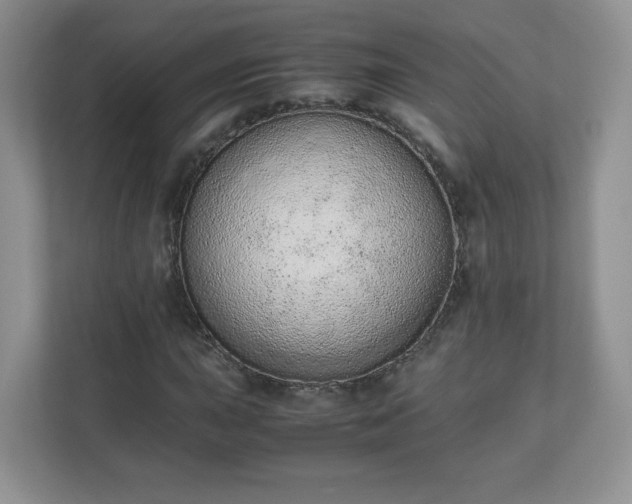 X0000110911015200906251353