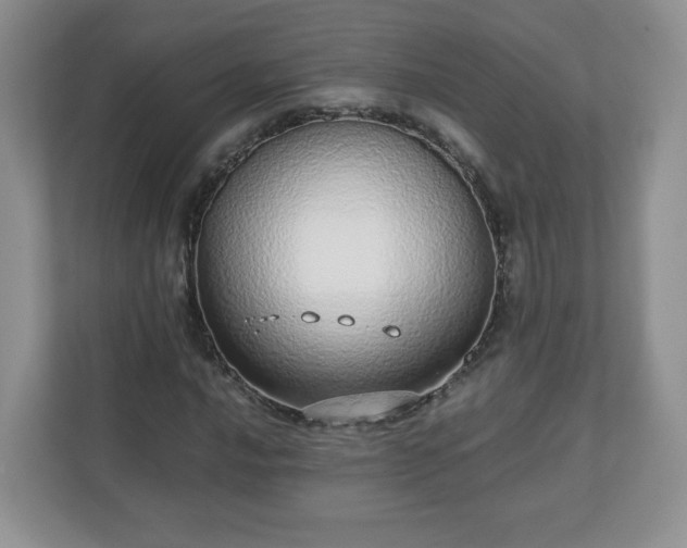 X0000110911016200906251353