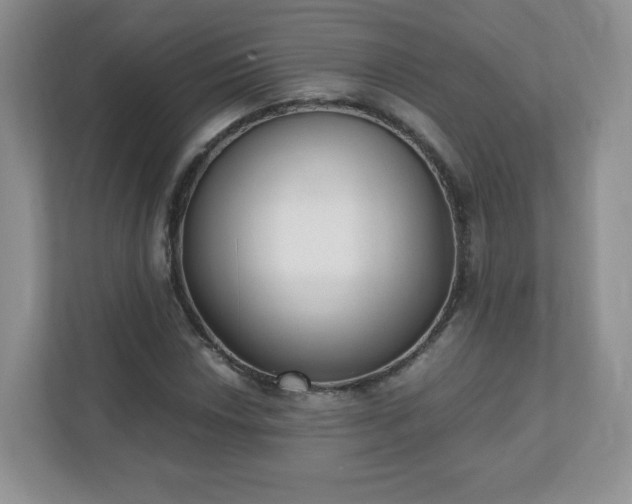 X0000110911018200906251353