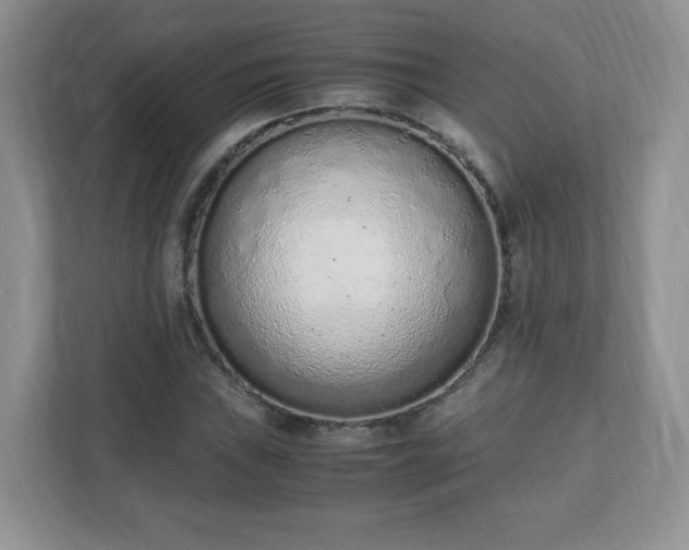 X0000110911019200906251353