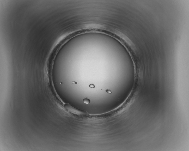 X0000110911022200906251353