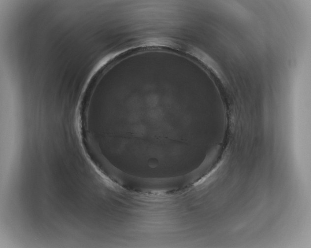 X0000110911024200906251353