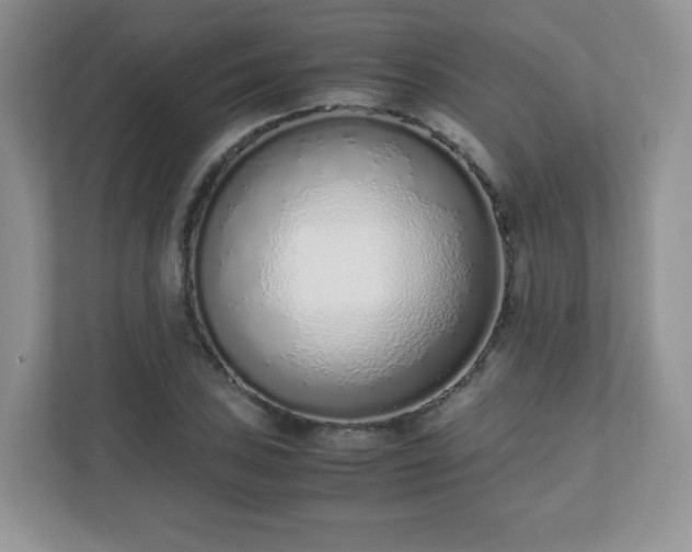 X0000110911027200906251353