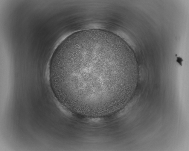 X0000110911031200906251353