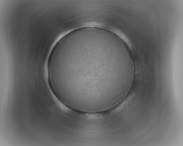 X0000110911032200906251353