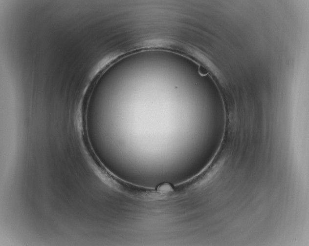 X0000110911034200906251353