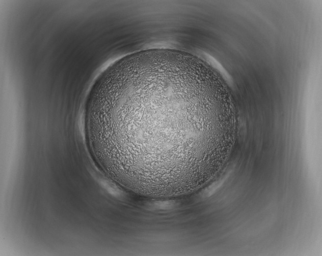 X0000110911035200906251353