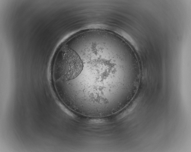 X0000110911037200906251353