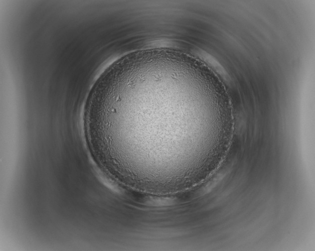 X0000110911039200906251353