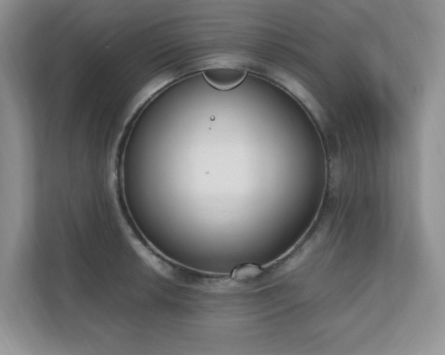 X0000110911042200906251353